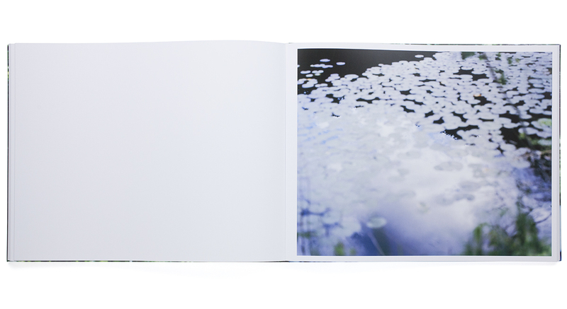 Water Mirror - 鈴木理策 | Case Publishing - 表現としての本