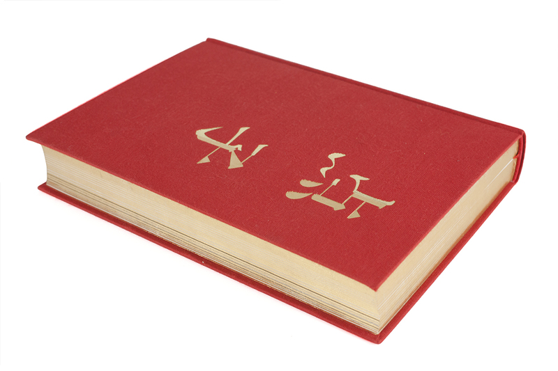点子 - 花代、沢渡朔 | Case Publishing - 表現としての本