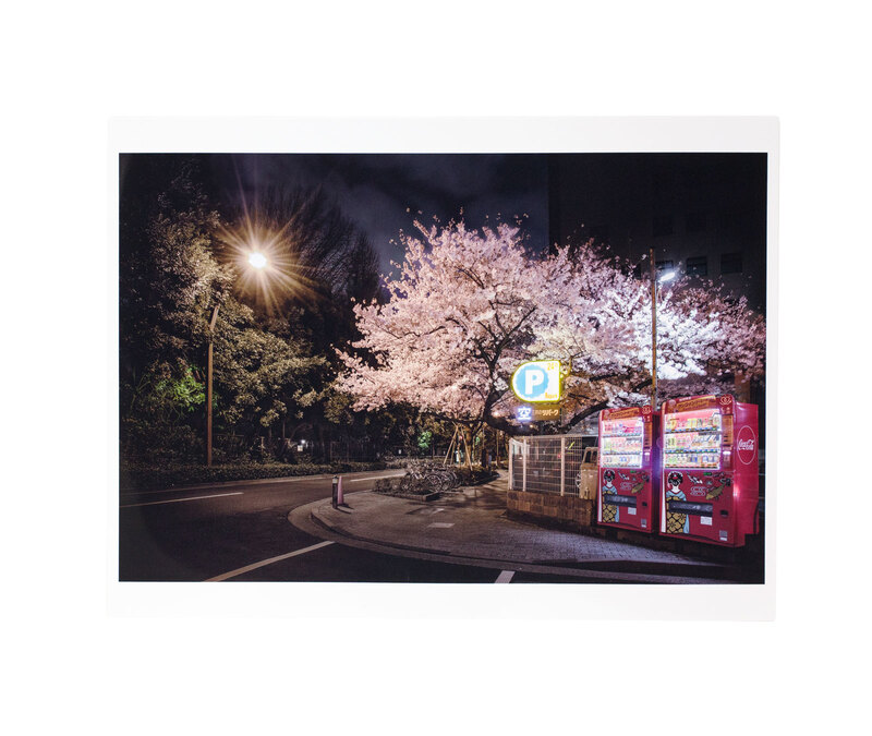 Roadside Lights Special Edition Box - 大橋英児 | Case Publishing
