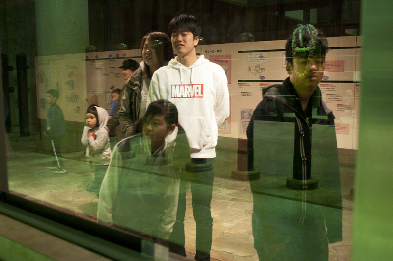 地平」 - Exhibition | Case Publishing - 表現としての本